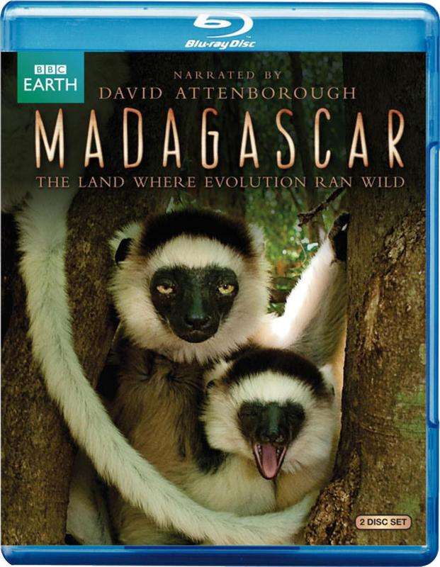 BBC - Madagascar BDRIP Türkçe Dublaj 480p