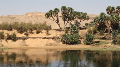 En Dahabiya, por el Nilo, con otros ojos - Blogs de Egipto - 5to.Dia. Museo del cocodrilo en Kom Ombo (5)